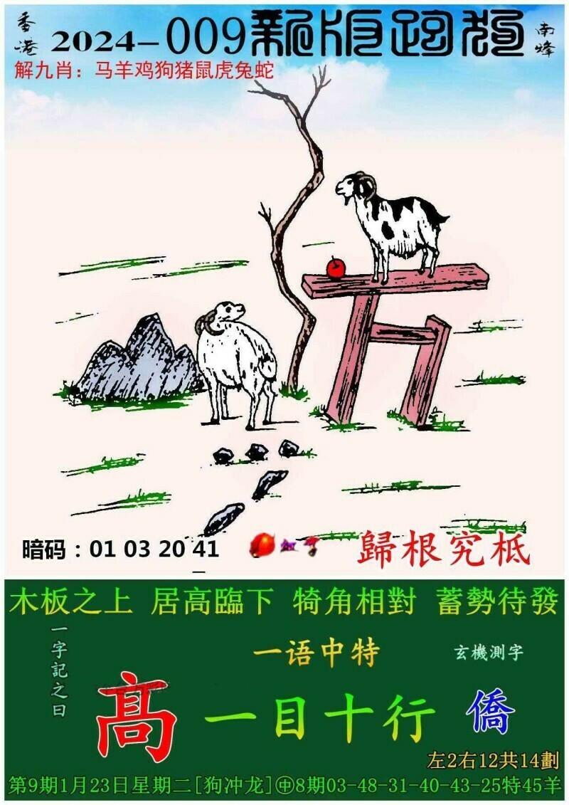 首席小仙女 第5页