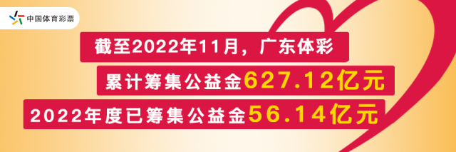 粤彩网，广东彩票文化的独特魅力与现代转型粤彩网站5566