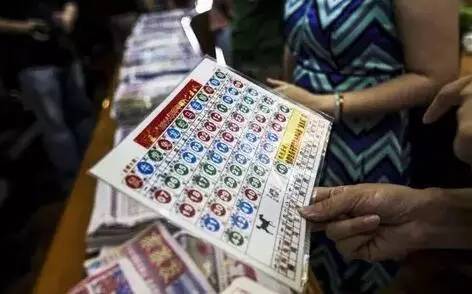 2036年，回溯与展望—香港历史开奖号码的数字记忆香港2020年开奖233cm