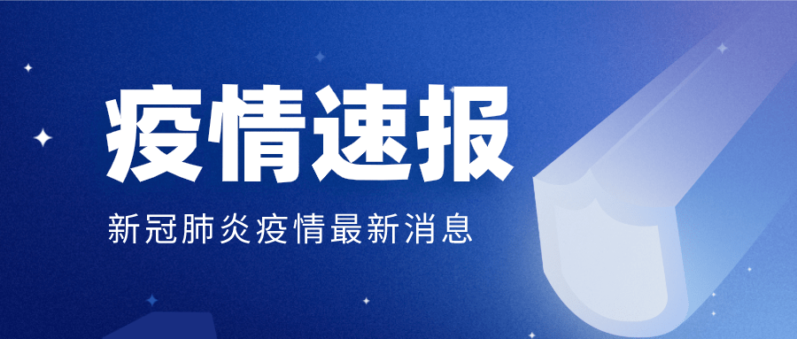 疫情新动态，全球视角下的新冠应对策略与挑战新冠肺炎疫情态势