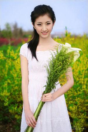 新澳门综合走势图分析最新版本更新内容深度解读新浪澳门即时动态