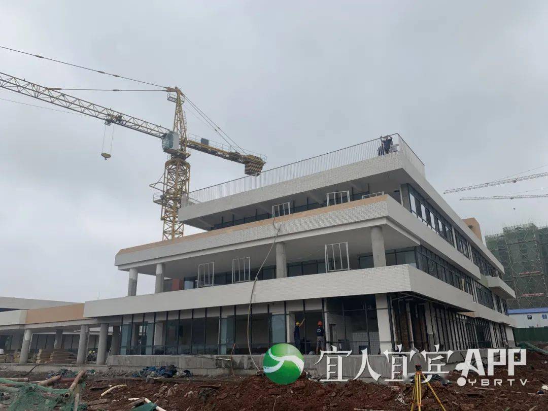 澳门新走势，深度解析最新开奖结果预测图表2021澳门走势图