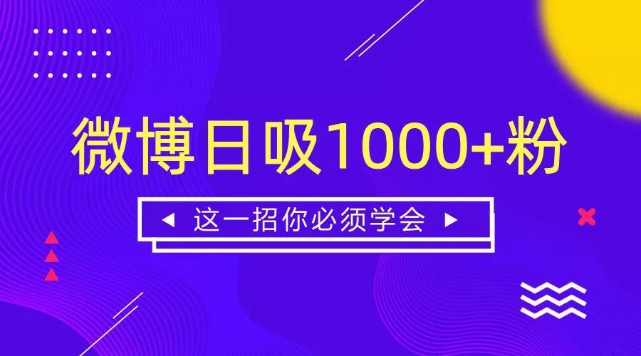 澳门新走势，图解最新资料大全与深度分析新浪澳门即时动态