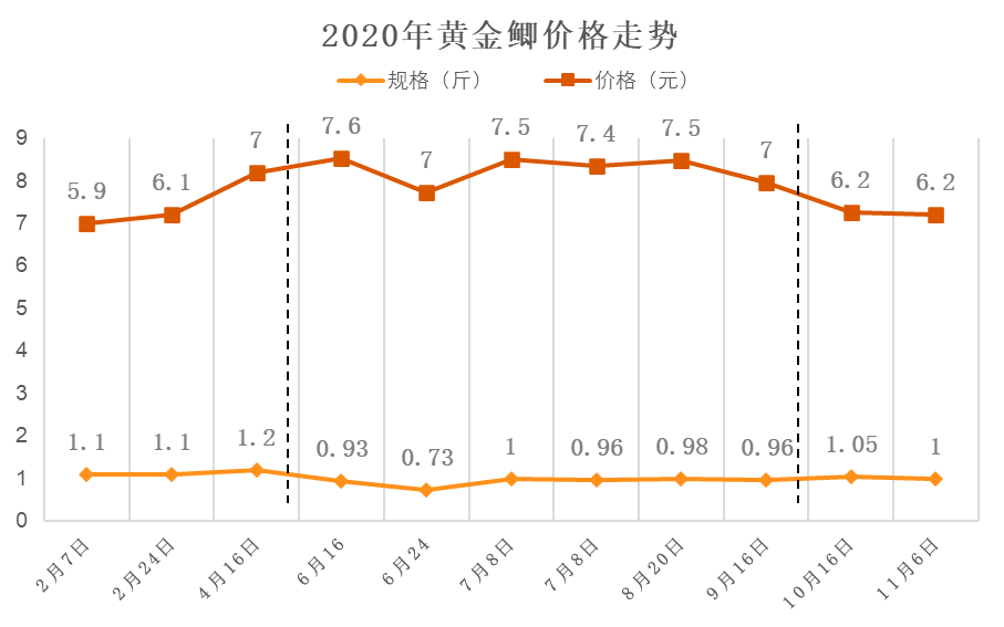 澳门新走势，今日开奖记录与未来趋势探索新澳门走势图开奖记录今天开什么信息呢